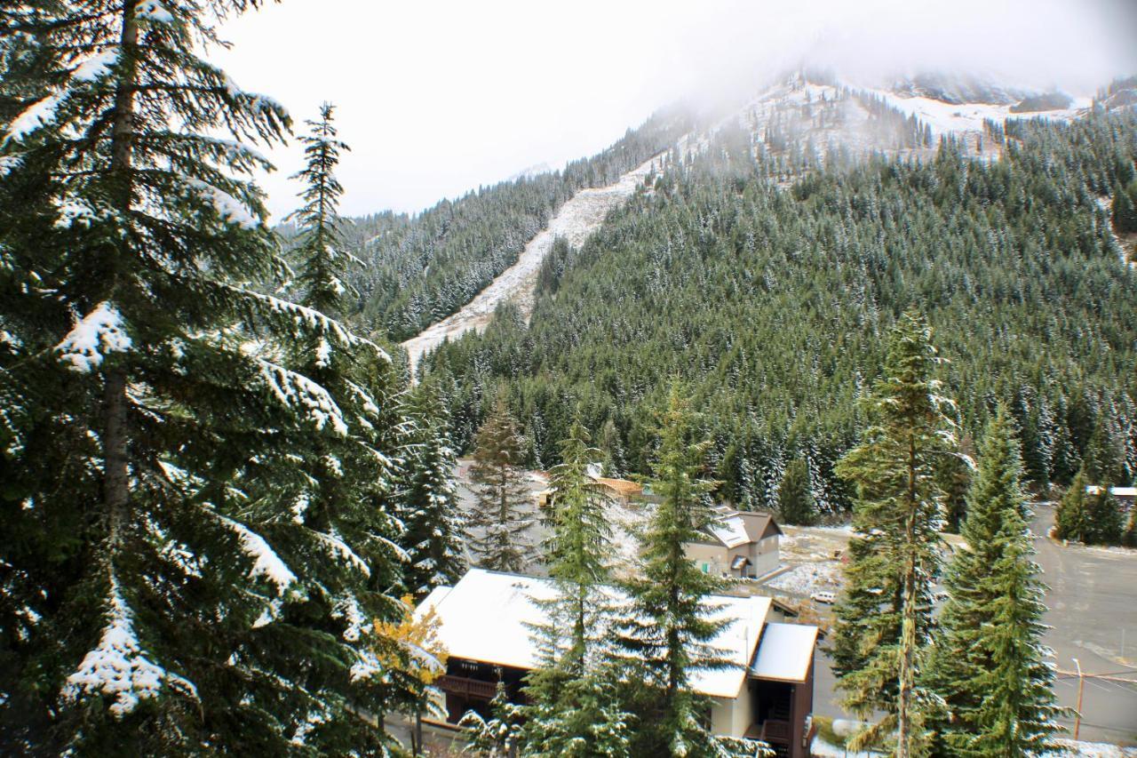 Crystal Chalets Greenwater Luaran gambar